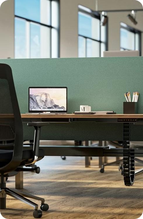Office software with 10% discount